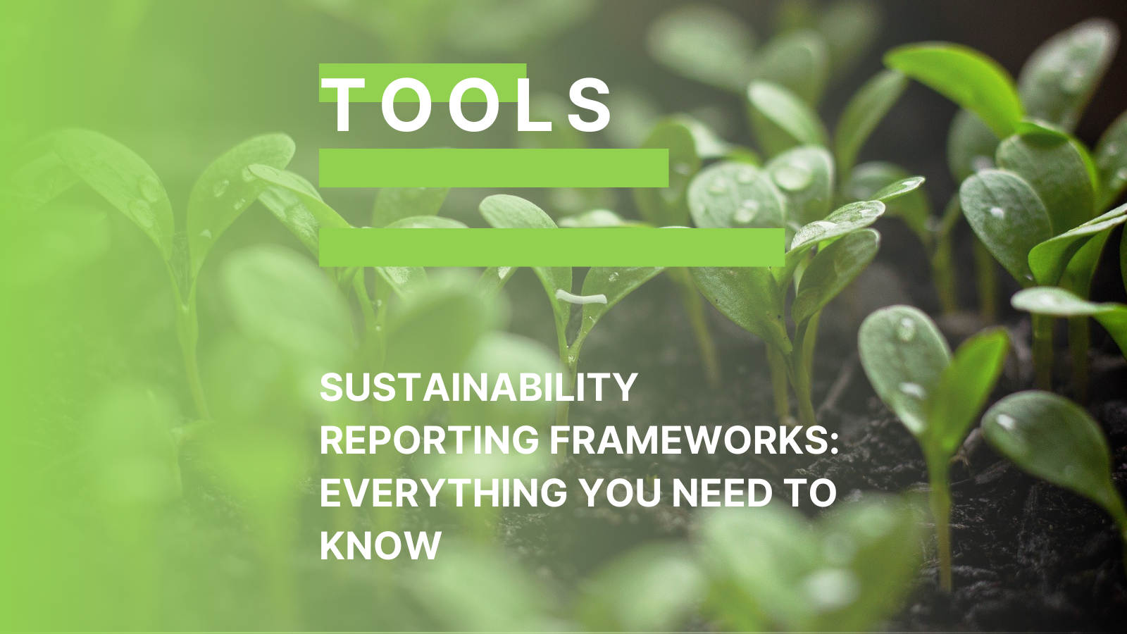 Sustainability Reporting Frameworks